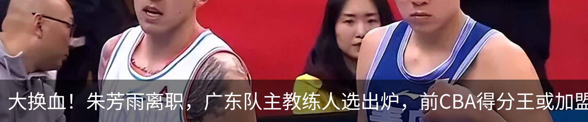 最新动态