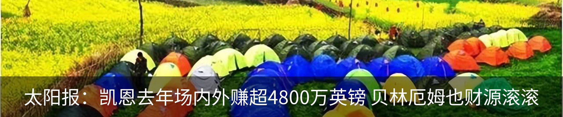 最新动态