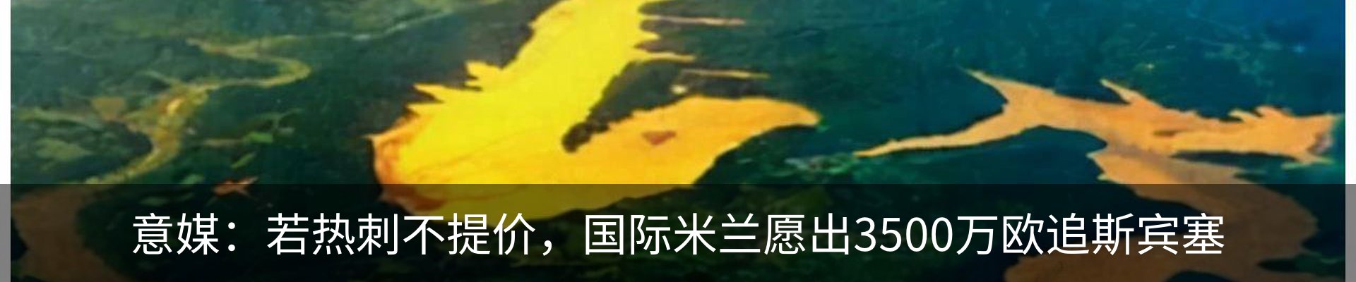 最新动态
