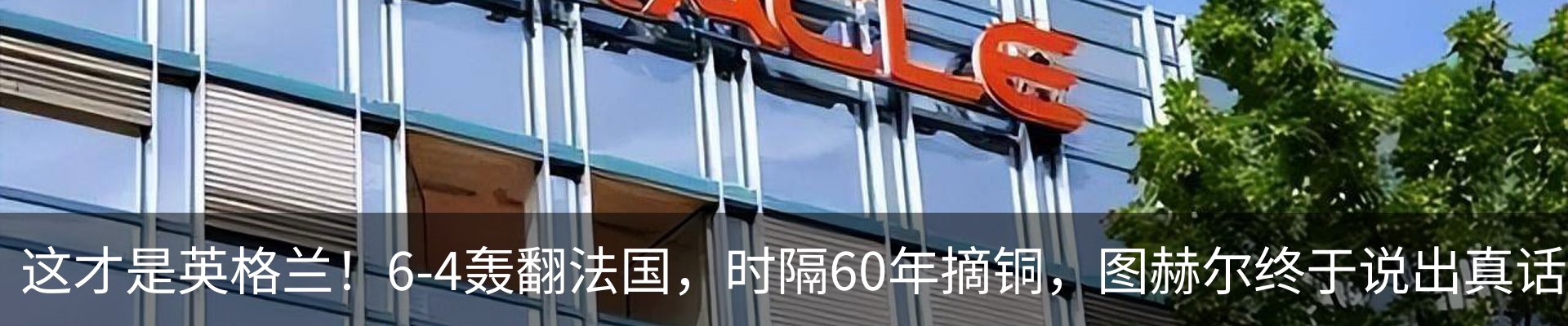 最新动态